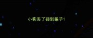 小狗丢了碰到骗子