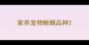 家养宠物蜥蜴品种