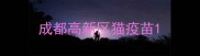 成都高新区猫疫苗