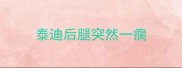 泰迪后腿突然一瘸