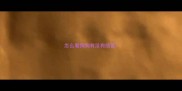 怎么看狗狗有没有感冒
