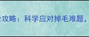 金毛换毛期护理全攻略科学应对掉毛难题轻松养宠不焦虑