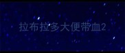 拉布拉多大便带血