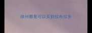 徐州哪里可以买到拉布拉多