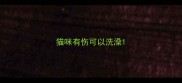 猫咪有伤可以洗澡