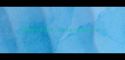 纯白哈士奇真实测评白色毛孩子是否值得入手