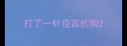 打了一针疫苗的狗