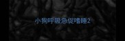 小狗呼吸急促嗜睡