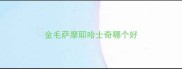 金毛萨摩耶哈士奇哪个好