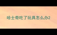 哈士奇吃了玩具怎么办