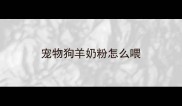 宠物狗羊奶粉怎么喂