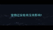 宠物过安检有没有影响