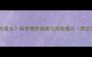 泰迪犬多大能吃骨头科学喂养指南与风险提示附正确喂食方法