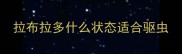 拉布拉多什么状态适合驱虫