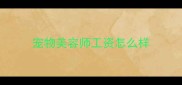 宠物美容师工资怎么样