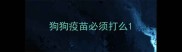 狗狗疫苗必须打么