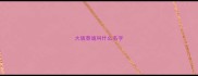 大版泰迪叫什么名字