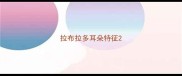 拉布拉多耳朵特征