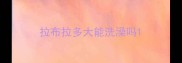 拉布拉多大能洗澡吗