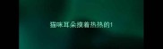 猫咪耳朵摸着热热的