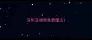 深圳宠物狗免费赠送