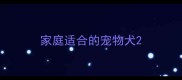 家庭适合的宠物犬