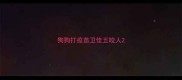 狗狗打疫苗卫佳五咬人