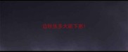 边牧张多大能下崽