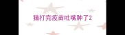 猫打完疫苗吐嘴肿了