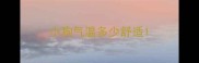 小狗气温多少舒适