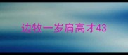 边牧一岁肩高才43
