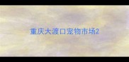 重庆大渡口宠物市场