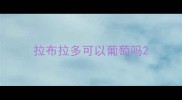 拉布拉多可以葡萄吗