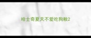 哈士奇夏天不爱吃狗粮