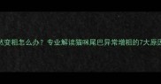 猫咪尾巴突然变粗怎么办专业解读猫咪尾巴异常增粗的7大原因及应对指南