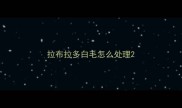拉布拉多白毛怎么处理