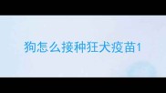 狗怎么接种狂犬疫苗