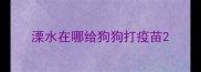 溧水在哪给狗狗打疫苗