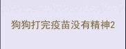 狗狗打完疫苗没有精神