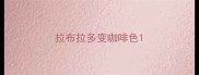 拉布拉多变咖啡色