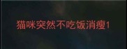 猫咪突然不吃饭消瘦