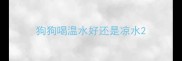 狗狗喝温水好还是凉水