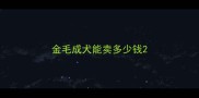 金毛成犬能卖多少钱