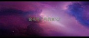 金毛每个月的变化