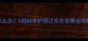金毛幼犬毛色偏浅怎么办5招科学护理让毛色变黄全攻略附幼犬护理要点