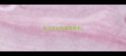 自己怎么给泰迪修毛