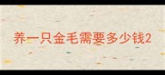 养一只金毛需要多少钱