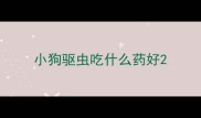小狗驱虫吃什么药好