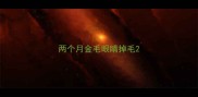 两个月金毛眼睛掉毛
