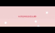 50天拉布拉多怎么喂